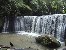 Orellana
